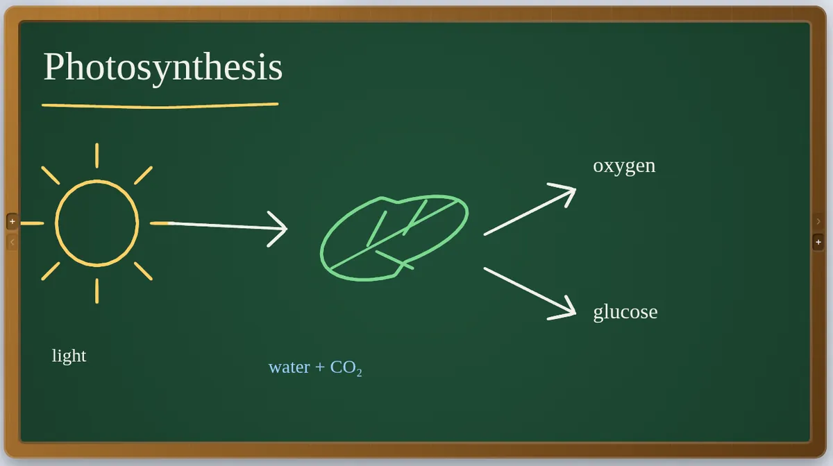 A Slate chalkboard with a hand-drawn photosynthesis diagram: a sun, a leaf and arrows to oxygen and glucose