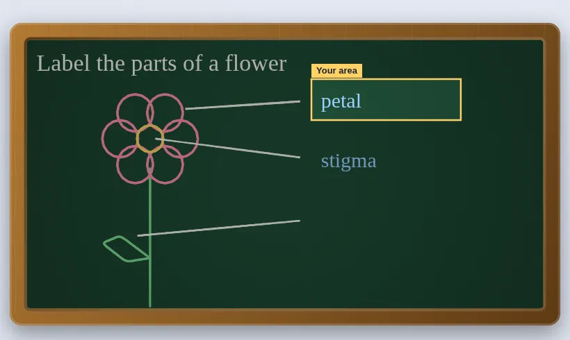 What a student sees on a tablet: the teacher's flower diagram, with their own writing box marked Your area